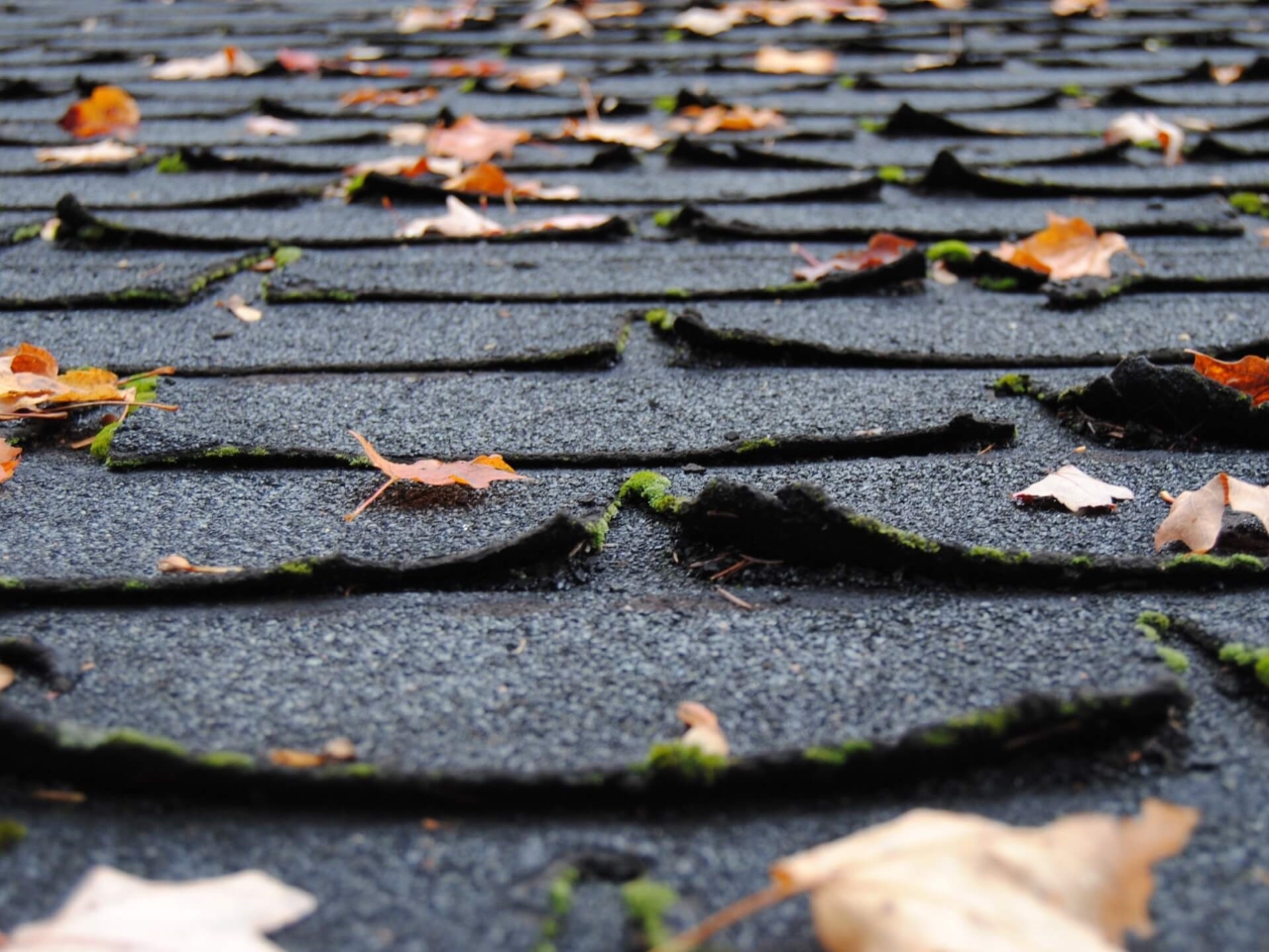 it is time for a roof replacement when you notice curling shingles