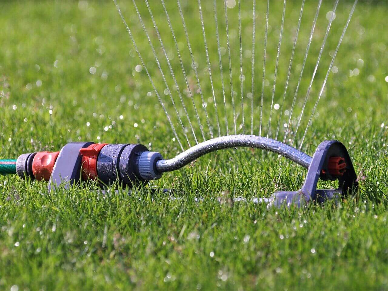 save water at home by only using sprinklers to water the grass
