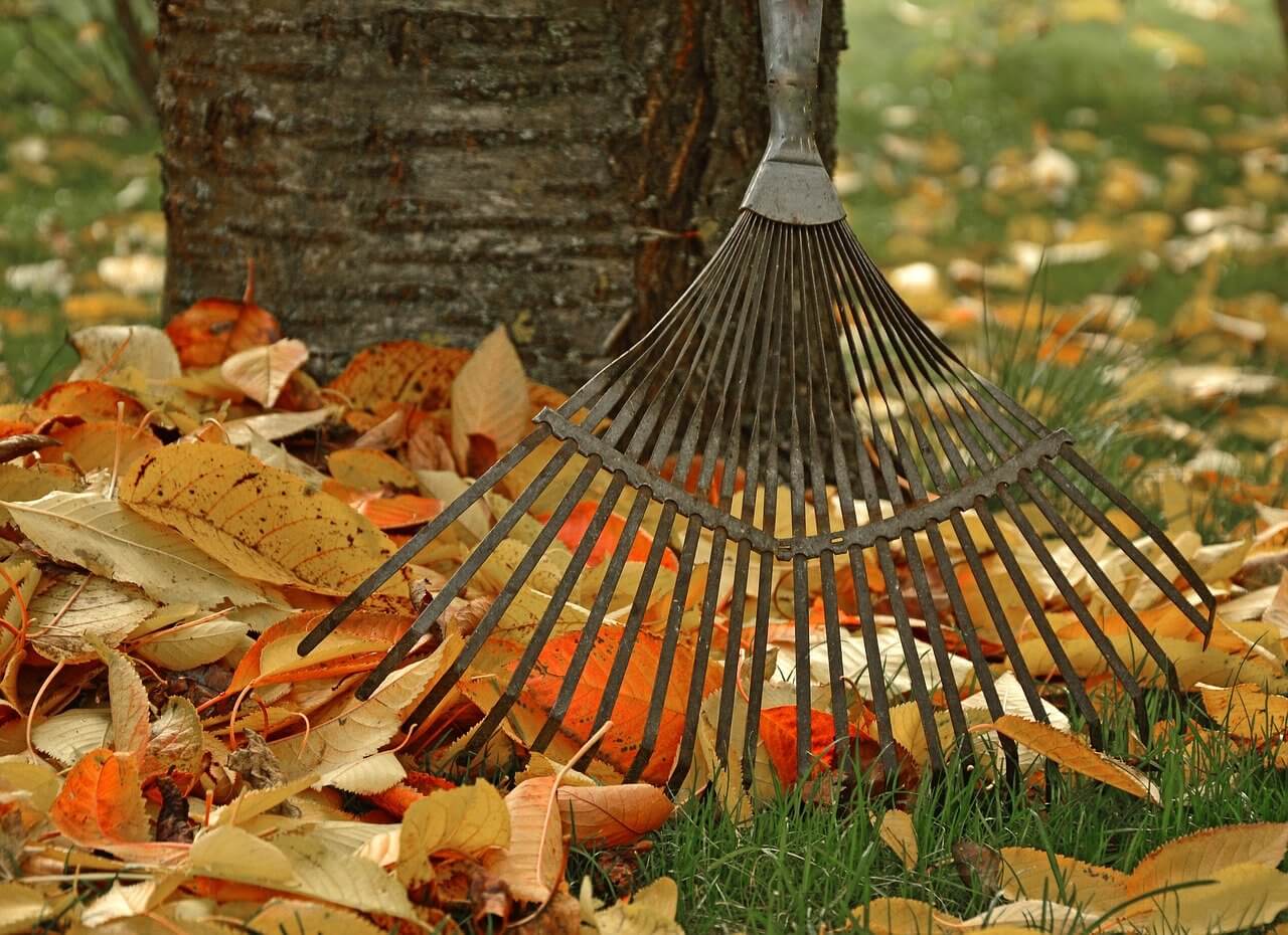 fall lawn maintenance includes raking leaves