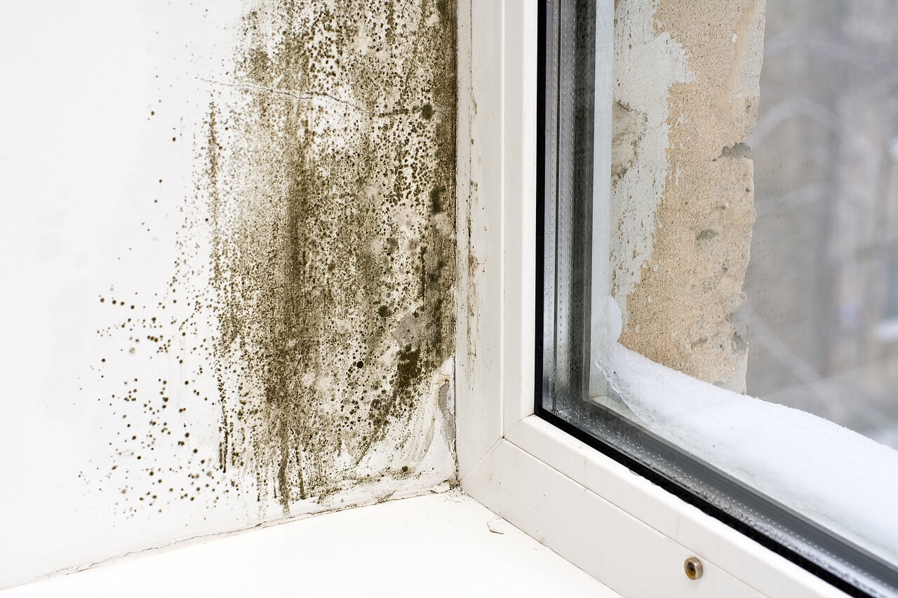 signs your house has a big problem