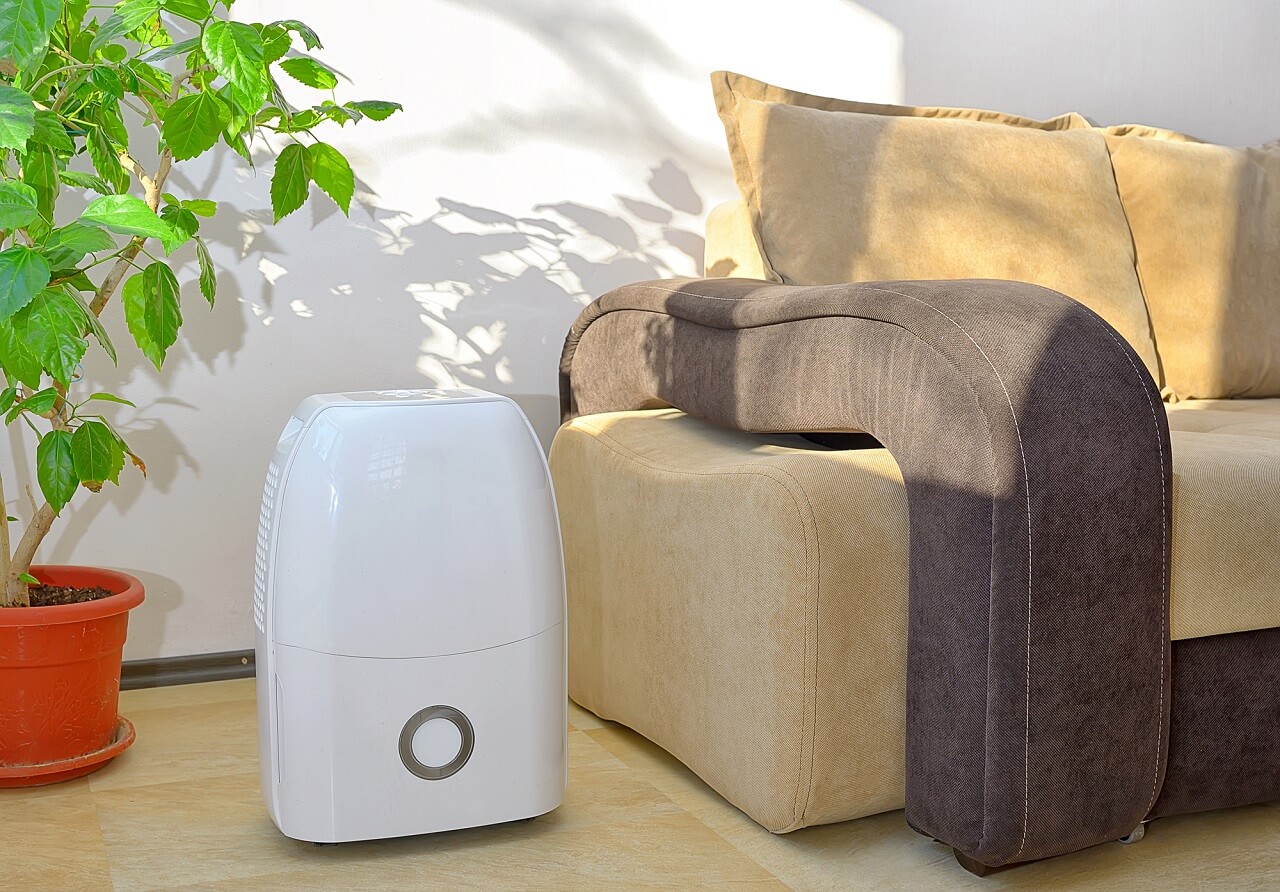 upgrades for a healthier home